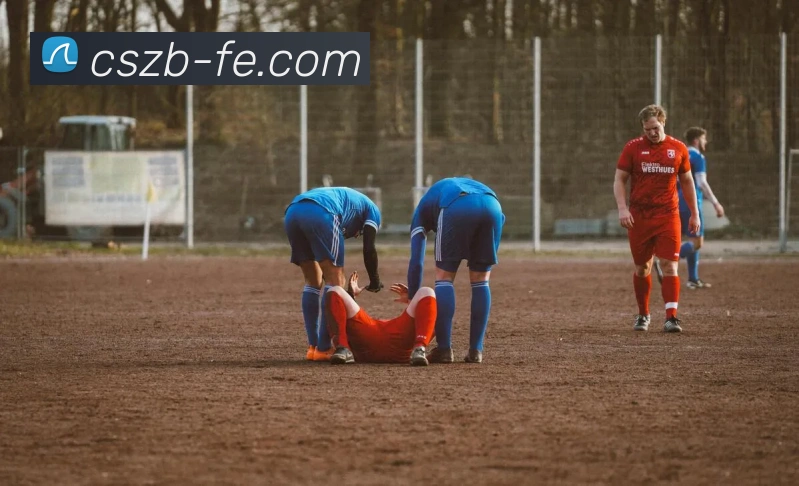 App Interface Preview